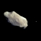 space-asteroid2.jpg