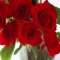 (AKA3.ir)-Flower-Roses (11).jpg