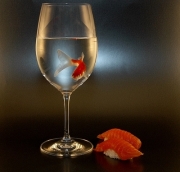 fish-in-wine-glass.jpg