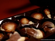 31444-chocolate-chocolate-pieces-wallpaper-02.jpg