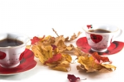 2005582-308271-colored-autumn-leaves-and-two-cups-of-tea-isolated-on-white.jpg