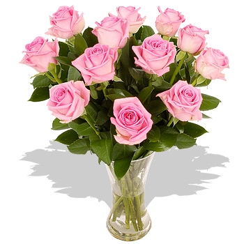 458-twelve_pink_roses_gift_wrap.jpg