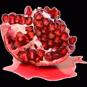 pomegranate.gif