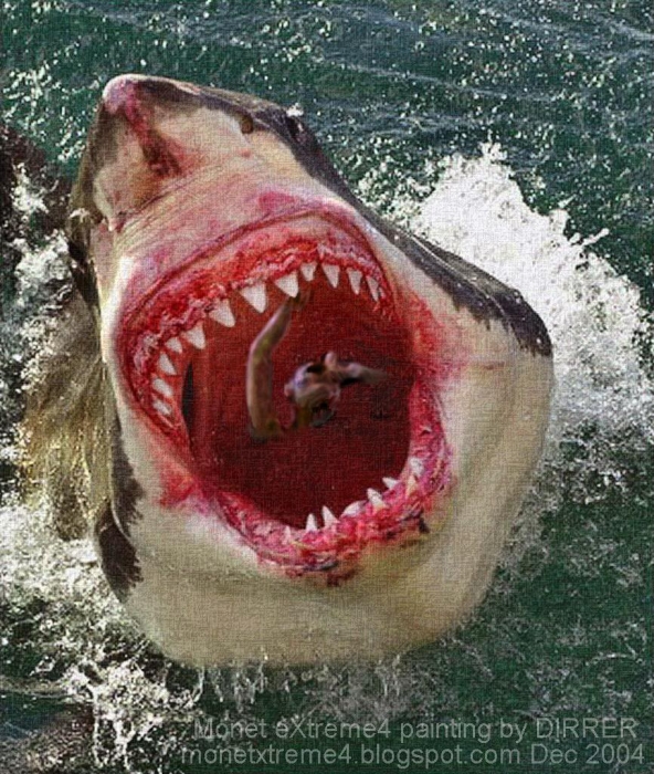 207-15-foot-Great-White-Shark-Eatin.jpg