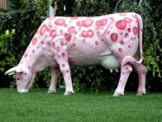 pink-cow.jpg