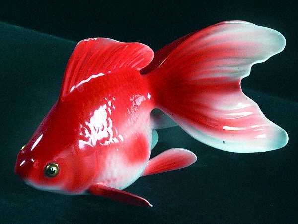 ماهی-قرمز.jpg