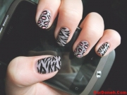 nails-phone-striped-pink-zebra-zebra-nails-Favim.com-555062.jpg