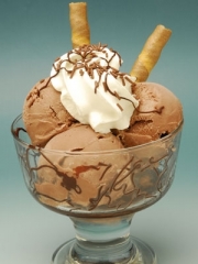 251_Chocolate-Ice-Cream.jpg