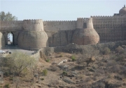 india-wall(5).jpg