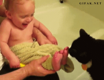 funny-cat-tickles-babys-toes.gif