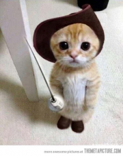 cute-cat-Boots-sword-hat.jpg