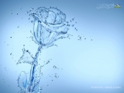 blue_water_roze.jpg