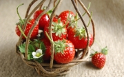 beautiful_fresh_strawberries_-0034.jpg