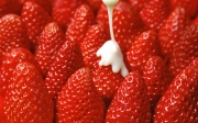 beautiful_fresh_strawberries_-0038.jpg