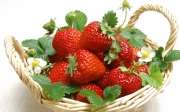 beautiful_fresh_strawberries_-0040.jpg