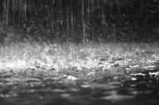 rain-medium.jpg