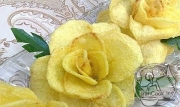 rose-chips-1.jpg