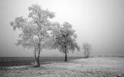 Mesmerizing-Winters-007.jpg