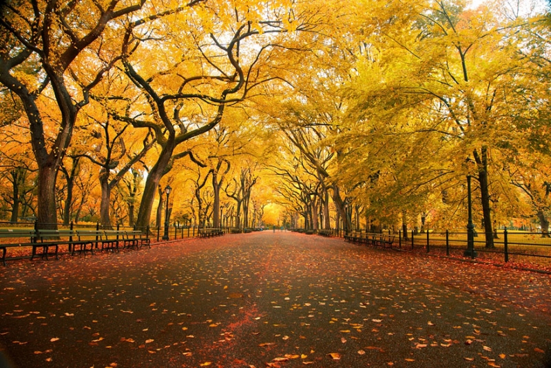 پاییز-عاشقانه-ترین-و-غمگین-ترین-یا-زیباترین-و-رنگارنگ-ترین-فصل-11.jpg