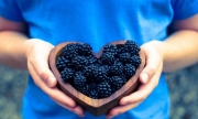 blackberries-bowl-wooden-heart-girl-macro-photo-hd-wallpaper-694x417.jpg